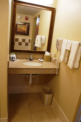 Bathroom 4, AmericInn by Wyndham Anamosa, Jones