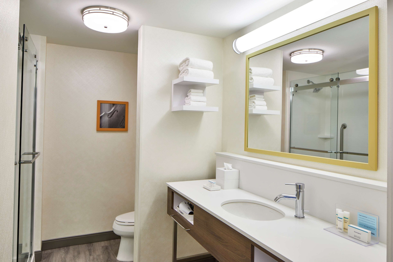 Bathroom 4, Hampton Inn & Suites Atlanta Midtown, Atlanta