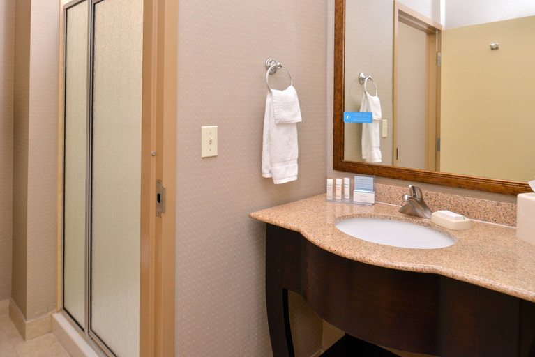 Bathroom 4, Hampton Inn Van Horn, Culberson