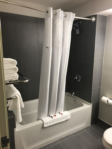 Bathroom 4, Microtel Inn & Suites by Wyndham Urbandale/Des Moines, Polk