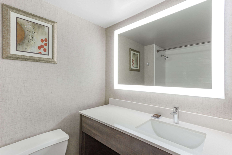 Bathroom 4, Wingate by Wyndham Tinley Park, Will