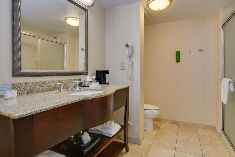 Bathroom 4, Hampton Inn Atlanta Fairburn, Fulton