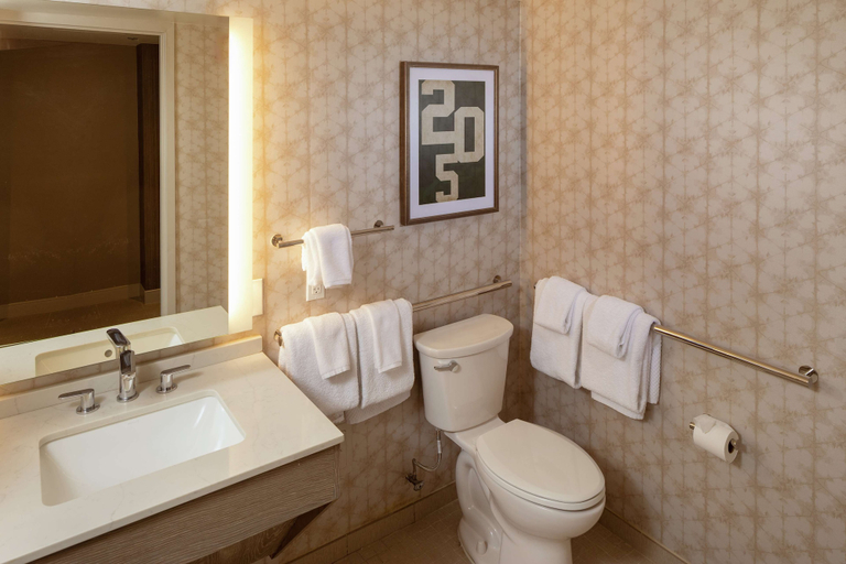Bathroom 5, Hilton Birmingham Downtown at UAB, Jefferson