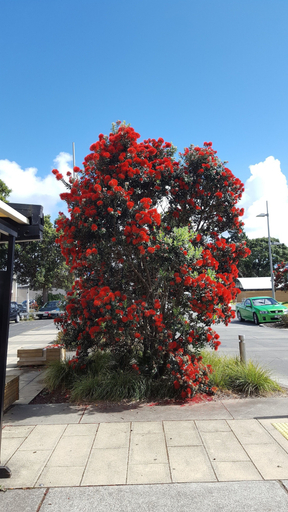 Exterior & Views, The Lighthouse, Waitakere