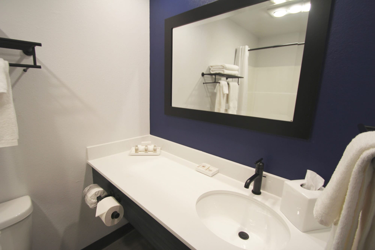 Bathroom 4, Hayward Inn, Lane