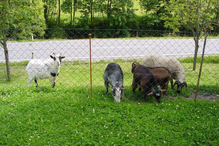 Others 5, Schattaugut, Sankt Johann im Pongau