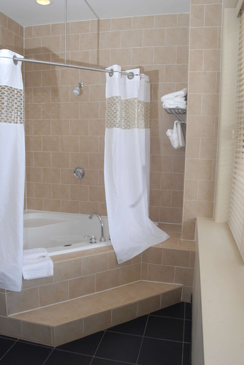 Bathroom 4, Hampton Inn & Suites Ogden, Weber