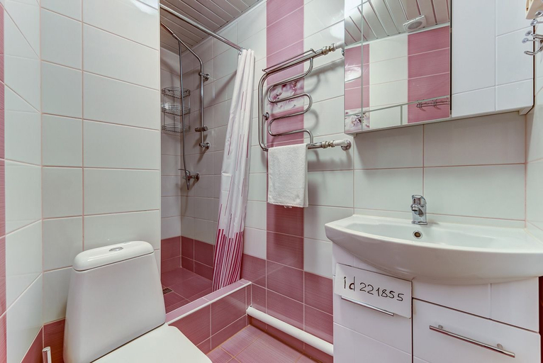 Bathroom 2, Lyubimyy Gorod Favorite City, Sankt-Peterburg gorsovet