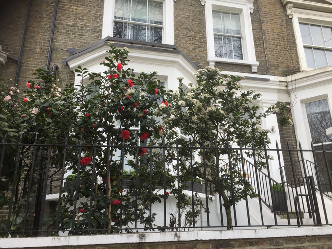 Exterior & Views, Luxurious Apartment in Kensington & Chelsea, London