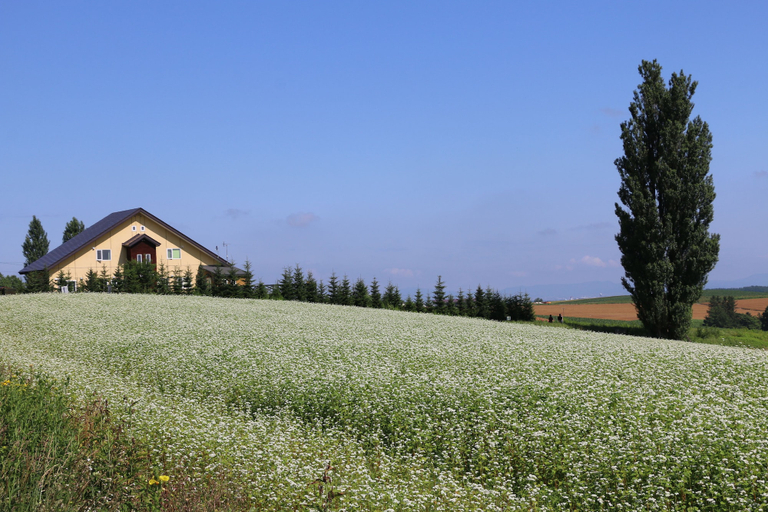 Exterior & Views 2, B&B Ken&Mary, Biei