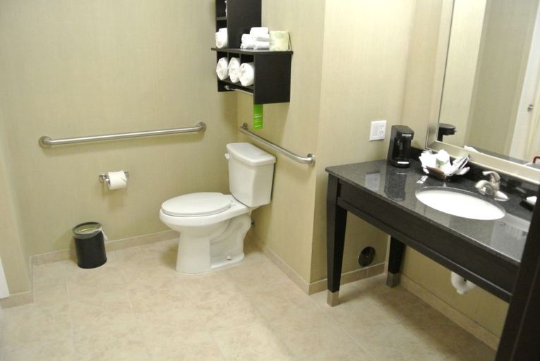 Bathroom 5, Hampton Inn Carrizo Springs, Dimmit