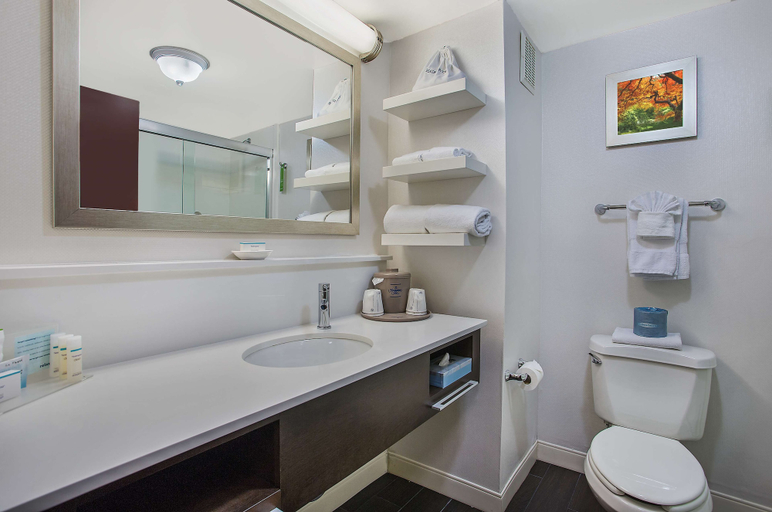 Bathroom 4, Hampton Inn Conyers, Rockdale