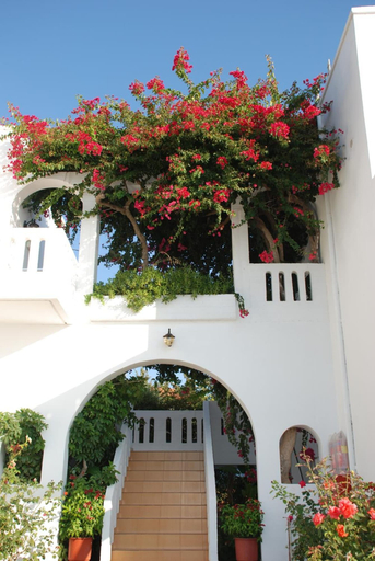 Exterior & Views 2, Michalis Villas, Crete
