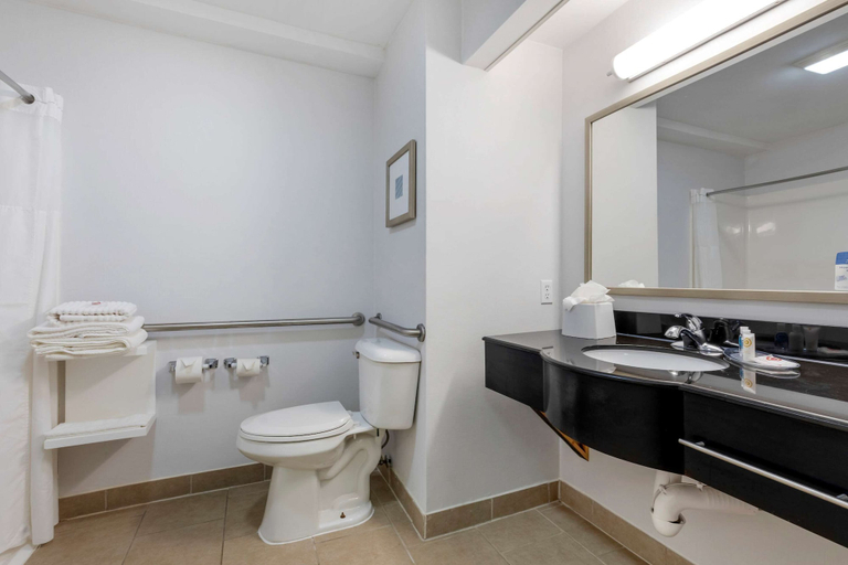 Bathroom 4, Comfort Inn Sherman - Denison Area, Grayson