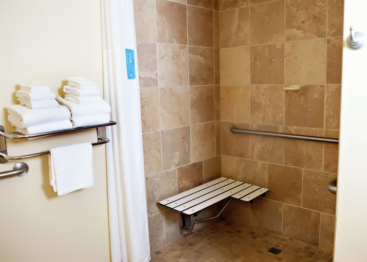 Bathroom 4, Hampton Inn Martin, Weakley