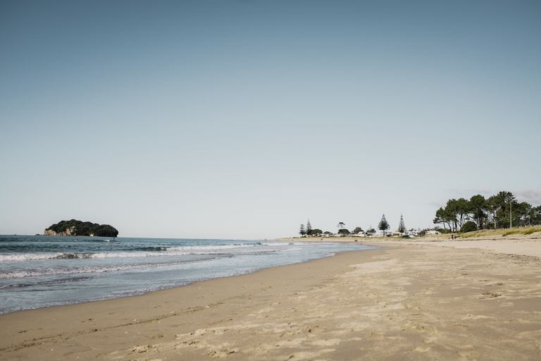 Others 4, Surf N Stay Whangamata, Thames-Coromandel