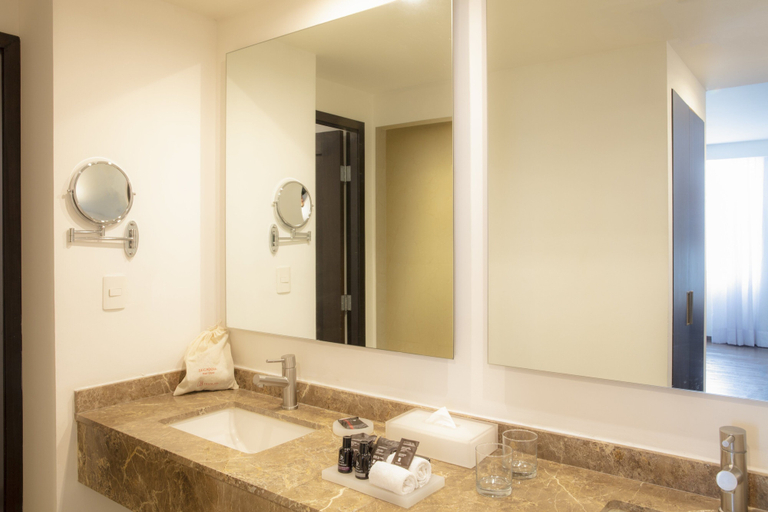 Bathroom 4, Fiesta Inn Insurgentes Sur, Mexico City
