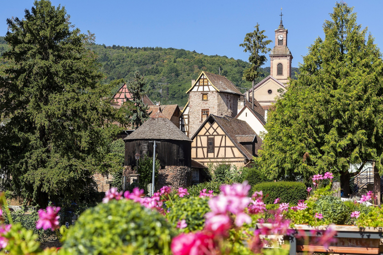 Exterior & Views 2, Best Western Plus Hotel & SPA Le Schoenenbourg, Haut-Rhin