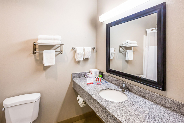 Bathroom 4, Econo Lodge Baton Rouge University Area, East Baton Rouge