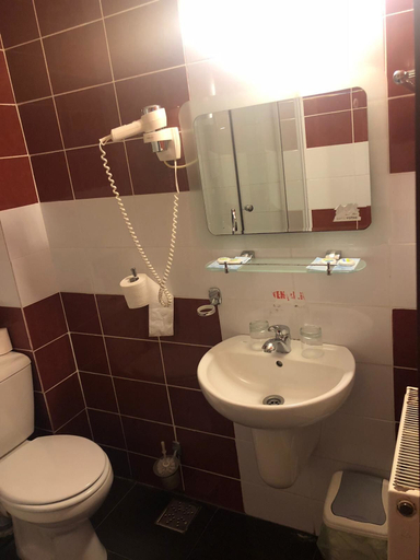 Bathroom 4, Complex Turistic Alpina Blazna, Sant