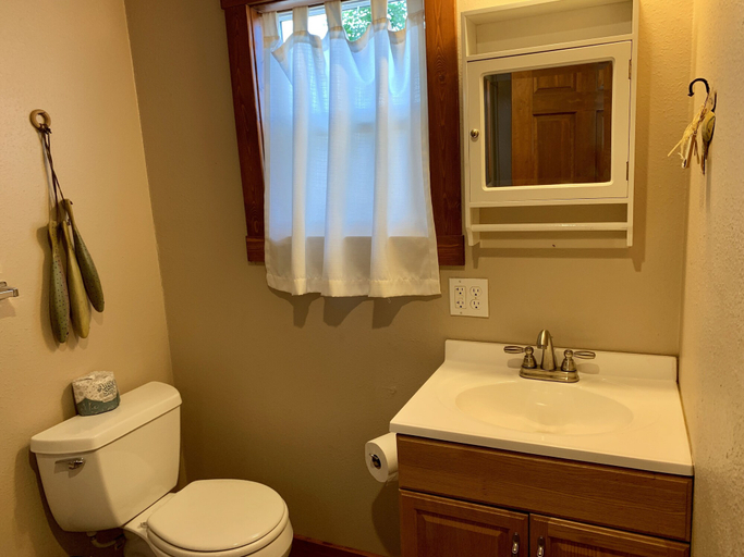 Bathroom 4, Hollys Resort, Otter Tail