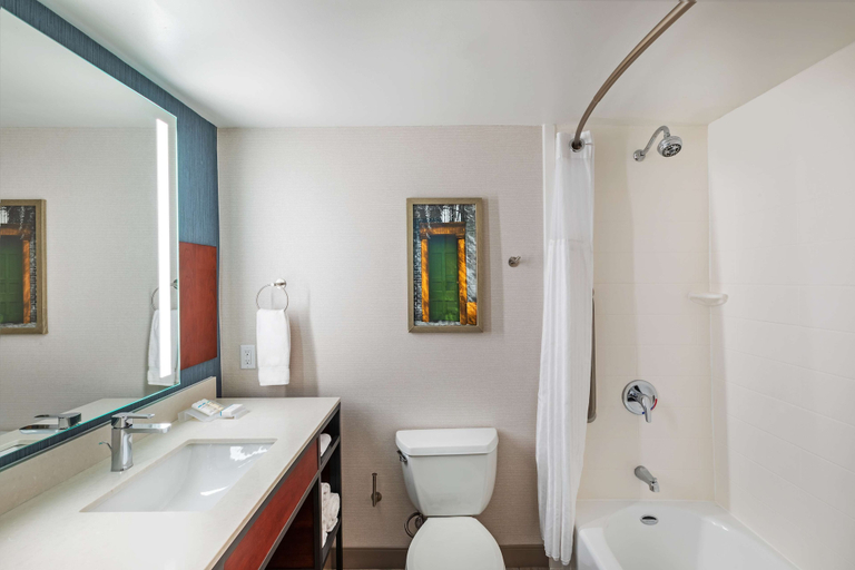 Bathroom 4, Hilton Garden Inn Houston/Sugar Land, Fort Bend