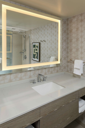Bathroom 5, Hilton Birmingham Downtown at UAB, Jefferson