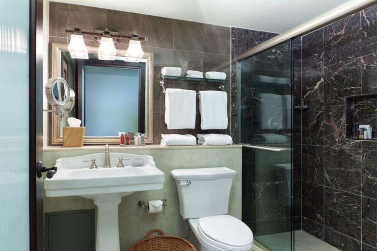 Bathroom 5, Hollywood Beach Marriott, Broward