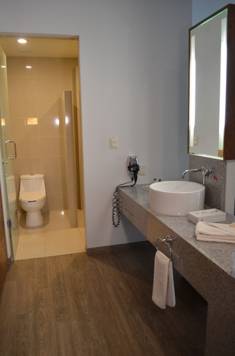 Bathroom 5, Plaza Camelinas Hotel, Querétaro