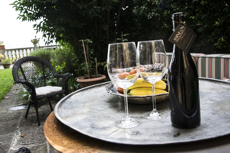 Food & Drinks 5, Villa Fiorentina con piscina, Florence
