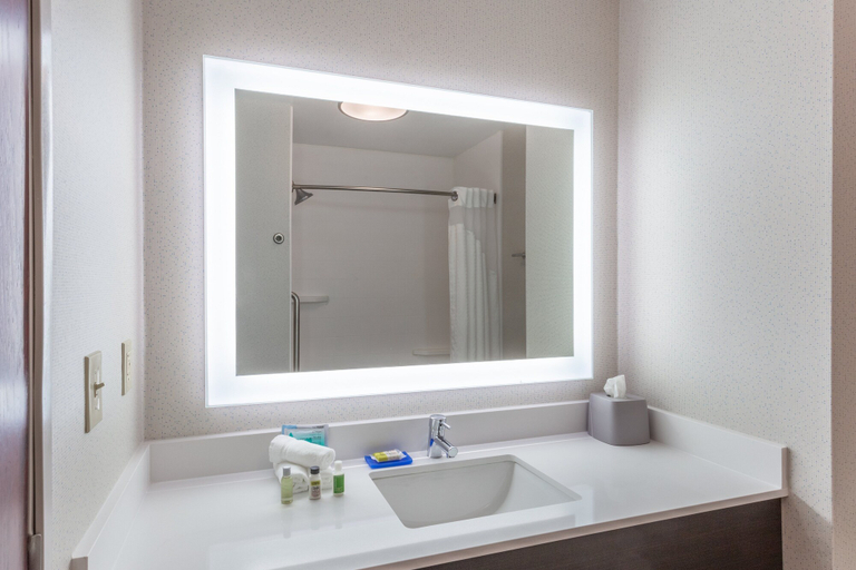 Bathroom 5, Holiday Inn Express & Suites WHITE HAVEN - POCONOS by IHG, Carbon