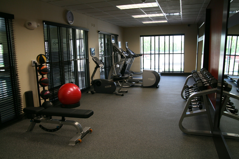 Others 5, Hampton Inn & Suites Detroit / Airport - Romulus, Wayne