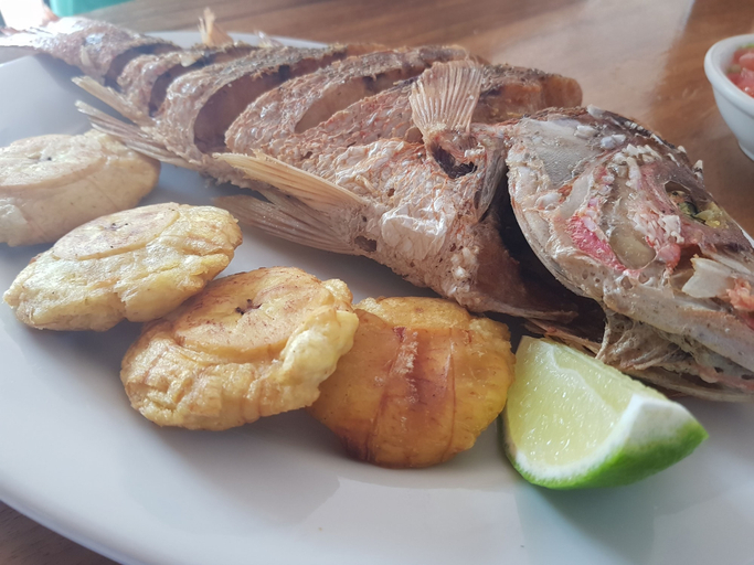 Food & Drinks 5, Hotel Popoyo, Tola