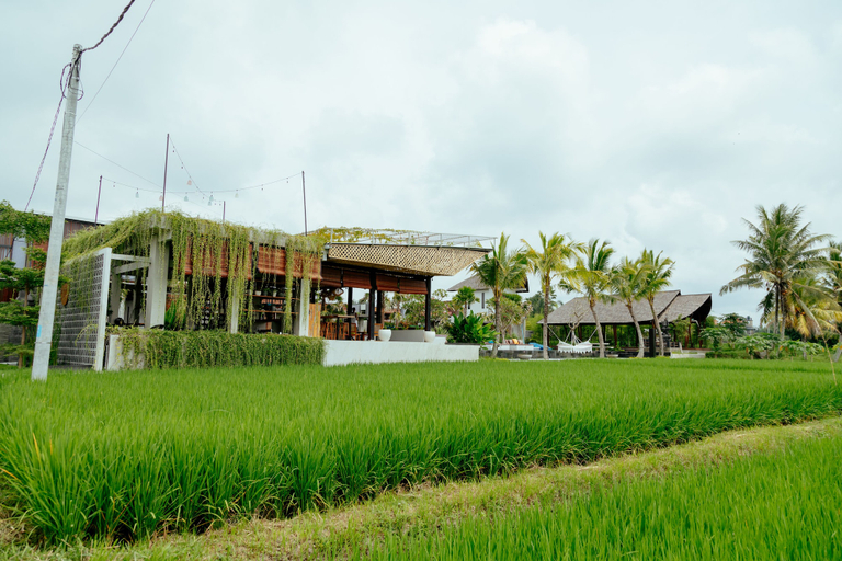 Exterior & Views 2, Podpadi Design Spaces, Gianyar