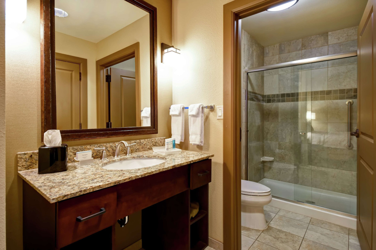 Bathroom 4, Homewood Suites by Hilton Kalispell, MT, Flathead