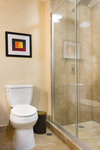 Bathroom 4, Best Western Premier Monterrey Aeropuerto, Apodaca