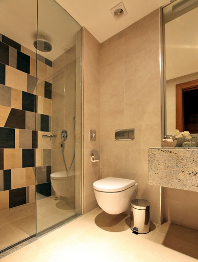 Bathroom 5, Mona Plaza Zlatibor, ÄŚajetina