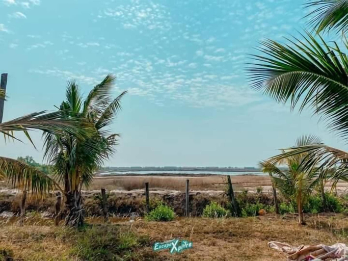 Others 5, Salt Field Glamping, Kampot
