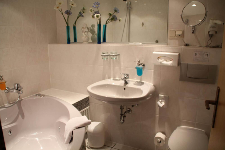 Bathroom 5, Trip Inn Hotel Zum Riesen, Main-Kinzig-Kreis