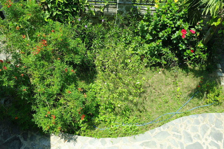 Others 4, The Faifoo House, Da Nang