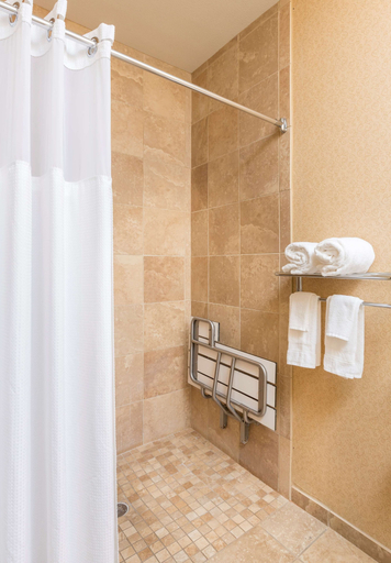 Bathroom 5, Hampton Inn Lubbock, Lubbock