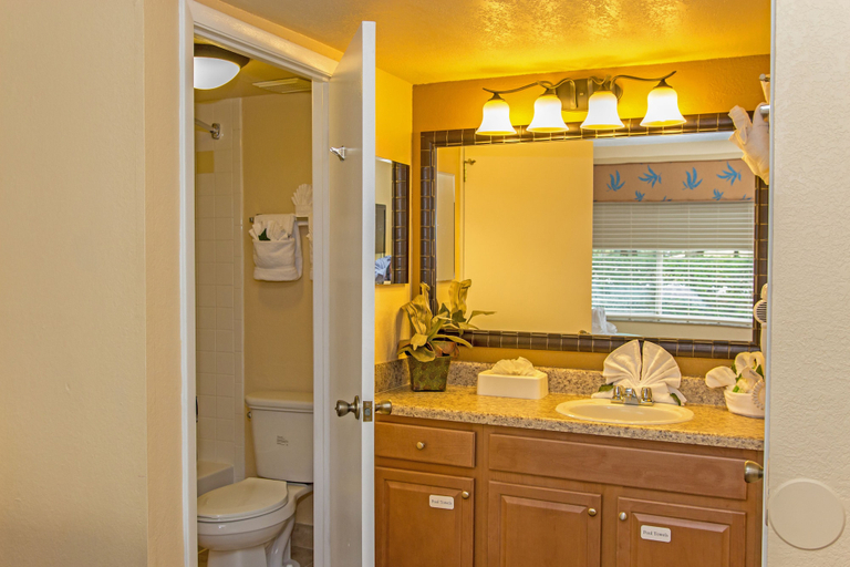 Bathroom 4, Westgate Leisure Resort, Orange