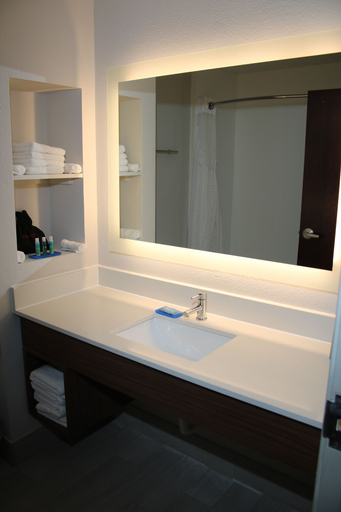 Bathroom 4, Holiday Inn Express & Suites DOUGLAS by IHG, Coffee