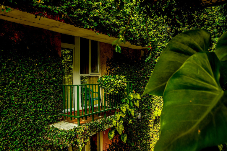 Exterior & Views 2, Novo Hotel & Suite, San Salvador