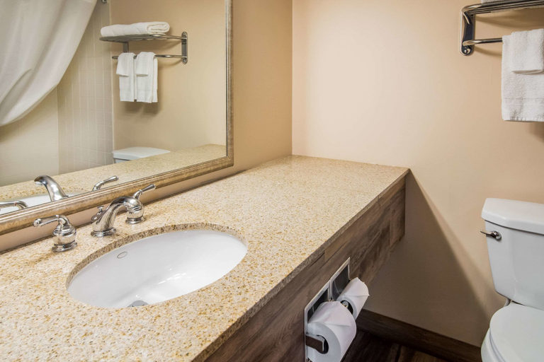 Bathroom 4, Quality Inn & Suites Virginia MN, Saint Louis
