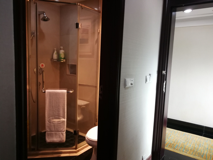 Bathroom 3, Daysun International Hotel, Guangzhou