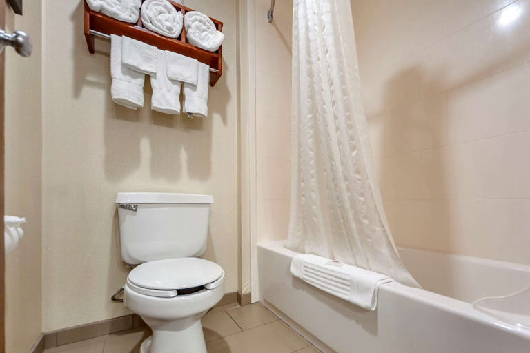 Bathroom 4, Comfort Inn Grand Island North, Hall