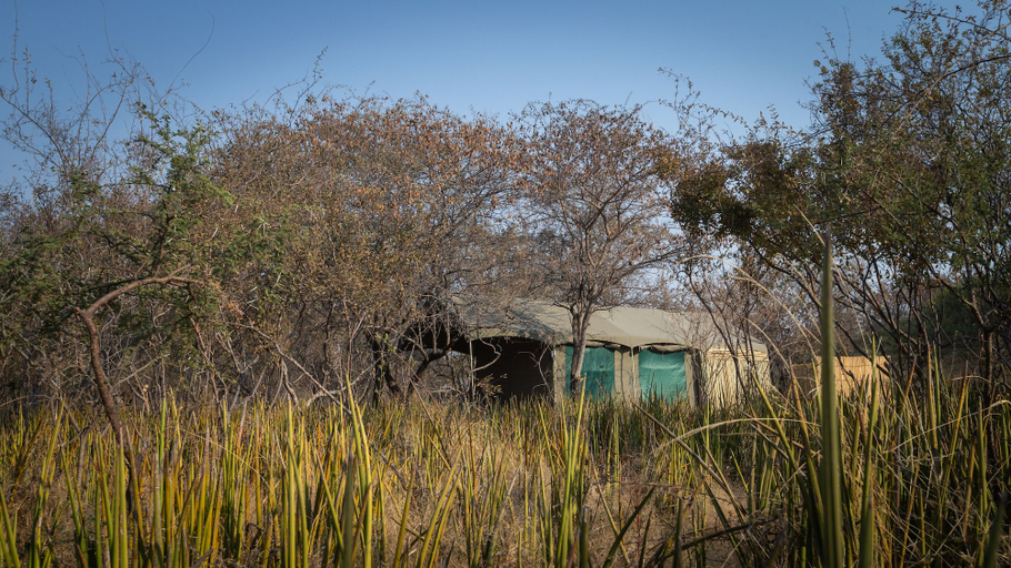 Exterior & Views 2, Boteti Tented Safari Lodge, Ngamiland East