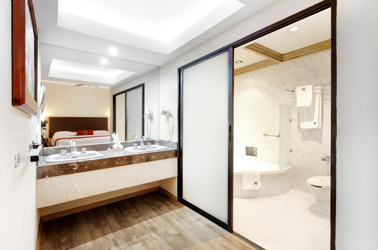Bathroom 5, Hotel Gillow, Mexico City
