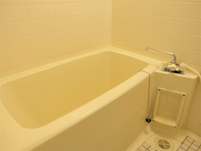 Bathroom 4, Shin Appi Onsen Seiryukaku, Hachimantai
